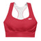 1STAR Crimson Alpha Longline Sports Bra